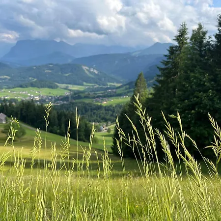 Waelderhaus 아파트 슈바르첸베르크 임 브레겐처발트