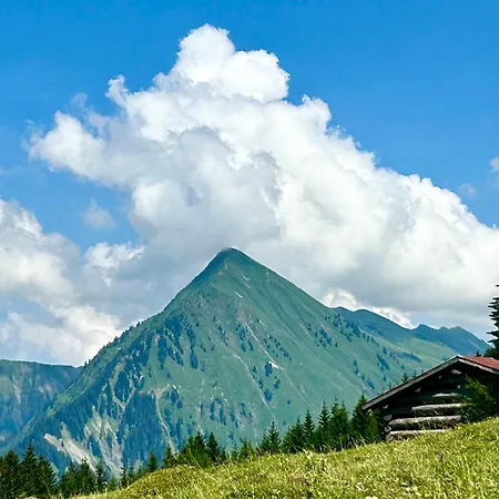 Lejlighed Waelderhaus Schwarzenberg im Bregenzerwald