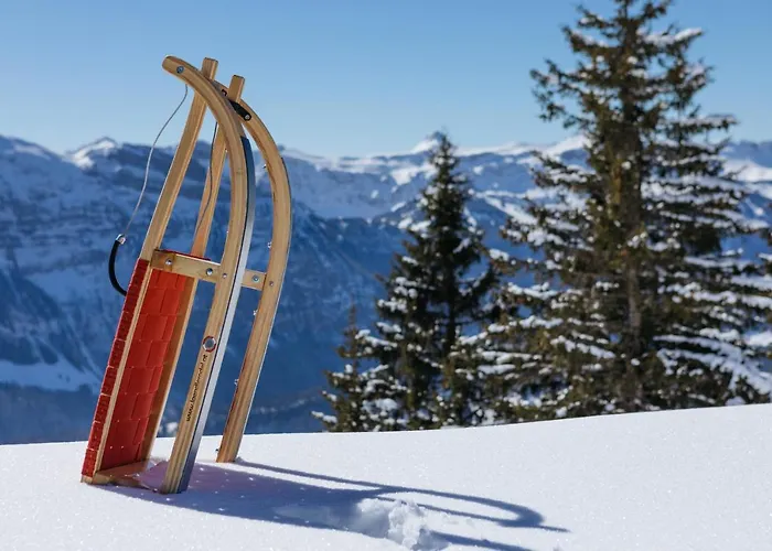 Waelderhaus Apartments Schwarzenberg im Bregenzerwald