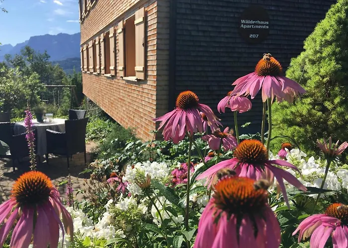 Waelderhaus Apartments Schwarzenberg im Bregenzerwald