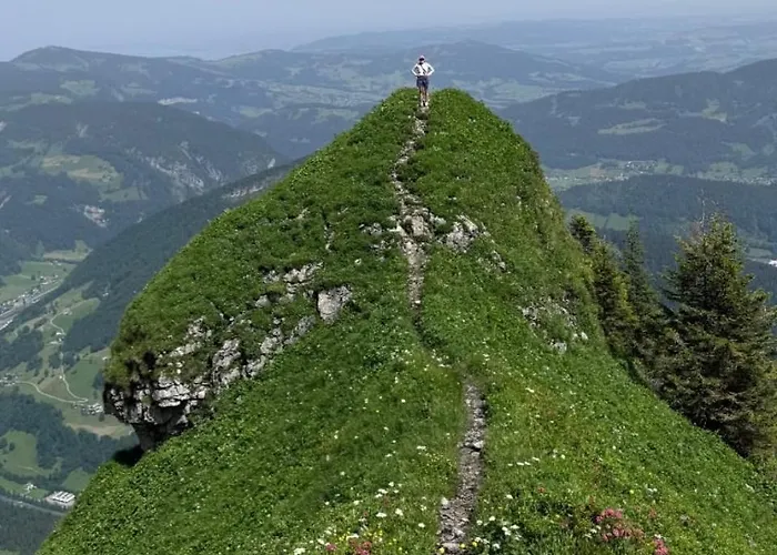 Waelderhaus Apartments Apartment *