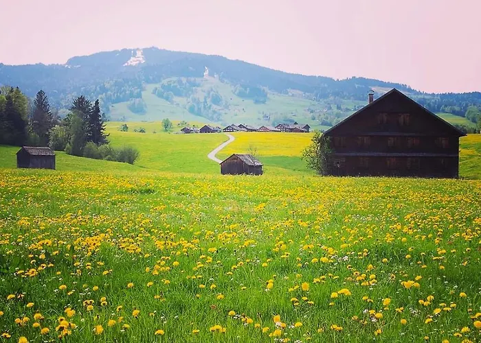 Waelderhaus Apartments Apartment Schwarzenberg im Bregenzerwald