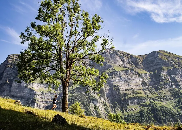 Waelderhaus Apartments Apartment